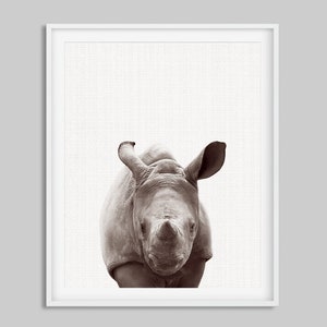 May include: A black and white photograph of a rhinoceros looking directly at the camera. The rhinoceros is in focus, while the background is blurred.