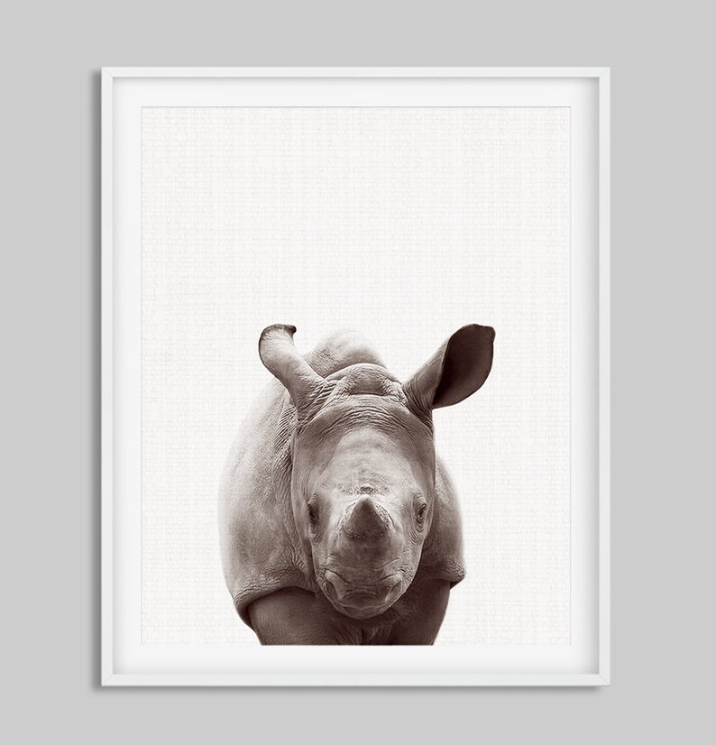 May include: A black and white photograph of a rhinoceros looking directly at the camera. The rhinoceros is in focus, while the background is blurred.