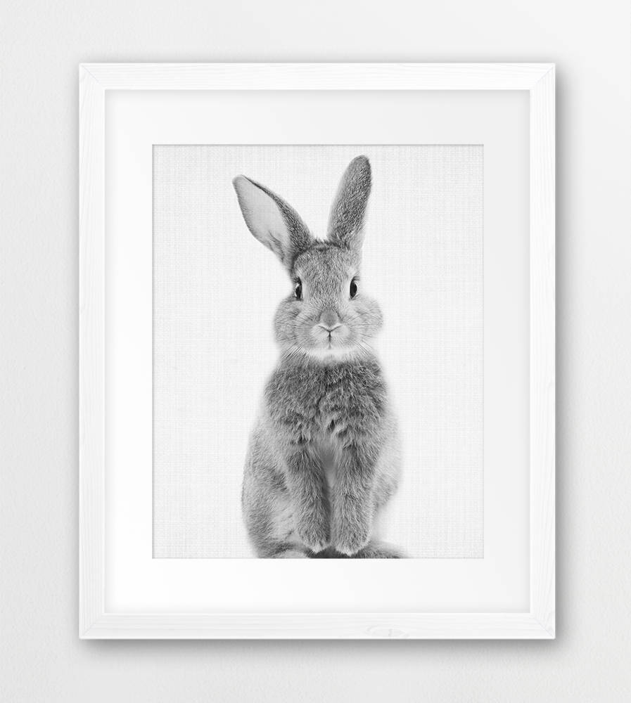 Rabbit Print Nursery Animal Wall Art Woodlands Animals | Etsy