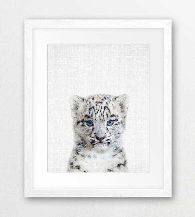 Snow Leopard Print Nursery Animal Wall Art Mountain Animal Etsy