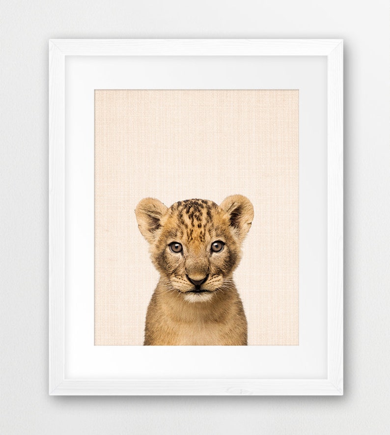 Lion Print Nursery Wall Art Cub Lion Baby Lion Poster Baby Etsy