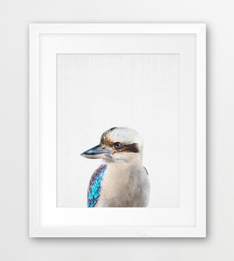 Kookaburra Print Nursery Wall Art Kookaburra Bird Poster Etsy