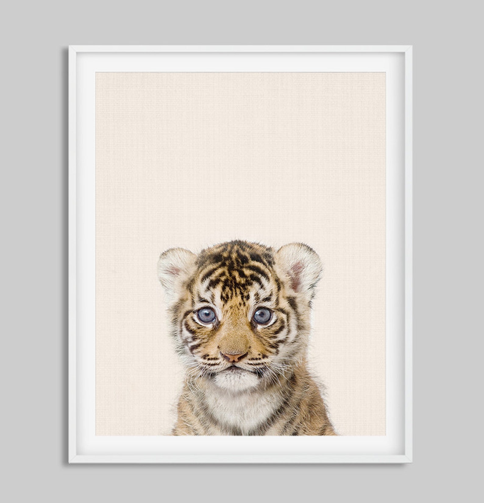 Tiger Print Nursery Animal Wall Art Baby Tiger Poster Etsy