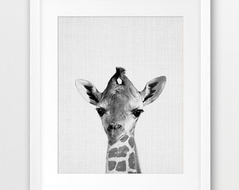 Giraffe Print, Baby Giraffe Wall Art, Safari African Animals, Nursery Animal Print, Black White Animal Poster, Kids Room Decor Printable Art