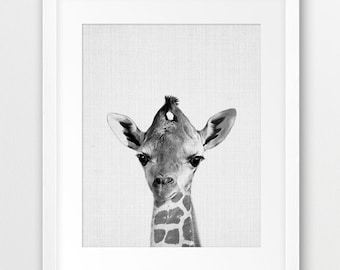 Impresión de jirafa, arte de pared de jirafa bebé, animales africanos de safari, impresión de animales de guardería, cartel de animales blanco negro, arte imprimible de decoración de la habitación de los niños