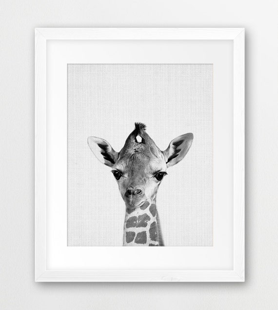 Giraffe Print, Baby Giraffe Wall Art, Safari African Animals