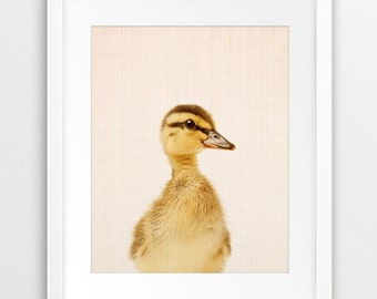 アヒルの子のプリント、保育園の動物の装飾、赤ちゃんの動物の壁アート、アヒルの子の写真、赤ちゃんのアヒルの子、保育園の装飾、子供部屋の印刷可能なアート