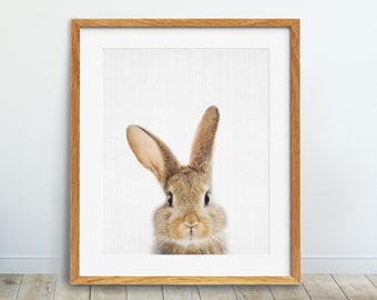 Bunny Rabbit Print, Nursery Wall Art, Woodland Decor, Baby Animal Prints for Nursery, Printable Art, Digital Download, Forest Animal Decor