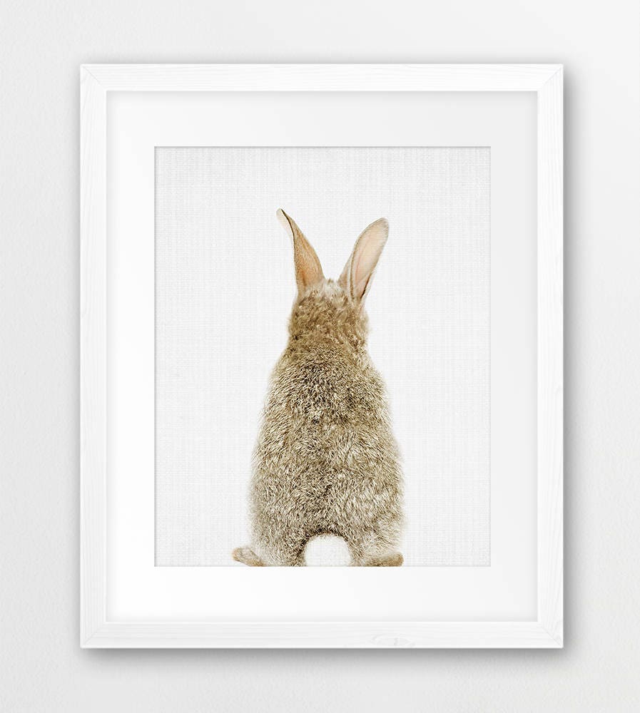 Rabbit Print Set, Nursery Animal Wall Art, Woodland Animals, Bunny Butt ...
