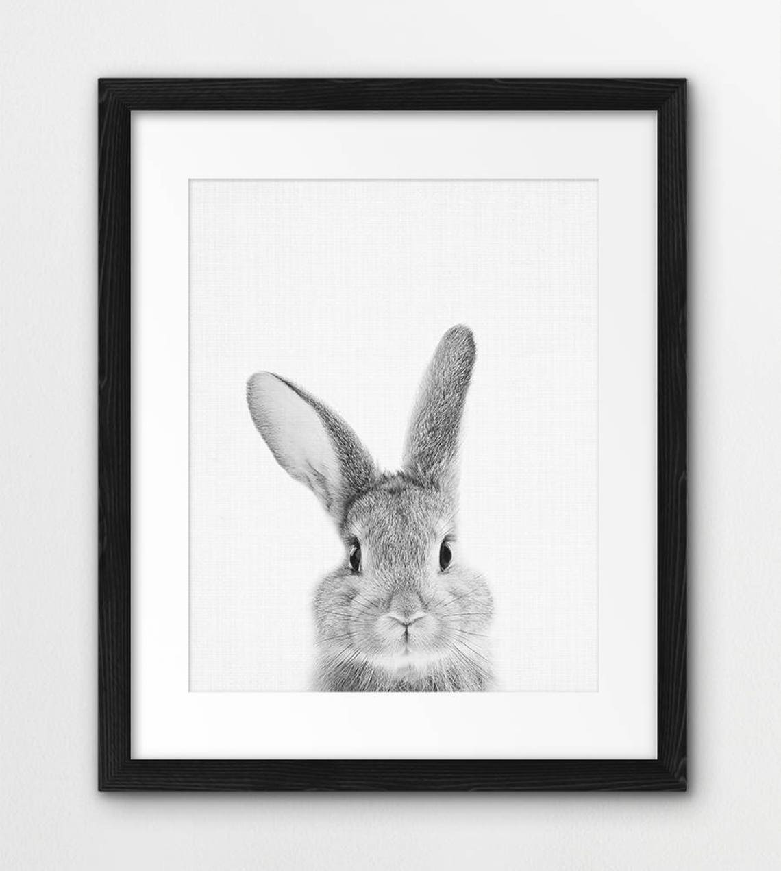 Rabbit Print Nursery Animal Wall Art Woodland Animals Etsy