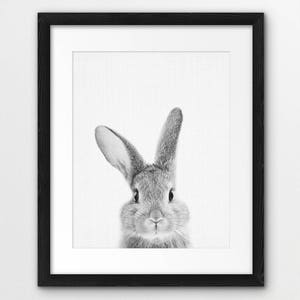 Rabbit Print, Nursery Animal Wall Art, Woodland Animals Poster, Black White Animals Prints, Bunny Print, Kids Room Decor, Digital Printable image 5