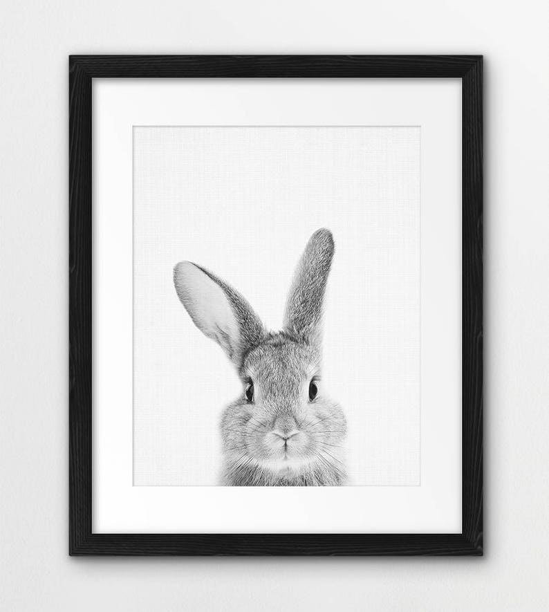 Rabbit Print, Nursery Animal Wall Art, Woodland Animals Poster, Black White Animals Prints, Bunny Print, Kids Room Decor, Digital Printable image 5