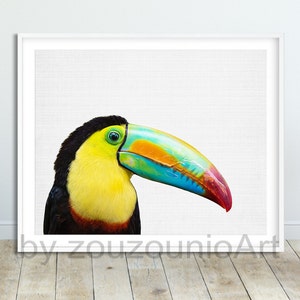 Toucan Bird Print, Tropical Exotic Birds Poster, Toucan Wall Decor, Colorful Print, Tropical Home Wall Art, Kids Room Decor, Printable Art