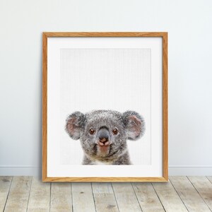 Koala  Print, Nursery Wall Art, Kids Room Decor, Koala Bear Printable, Nursery Animals Decor, Australian Animals, Nursery Printable Art