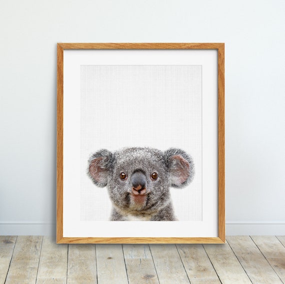 instant download,art koala nursery watercolor print print wall room Baby koala print Australian animal print nursery