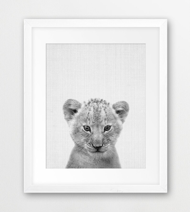 Safari Nursery Decor Baby Animals Set 6 Lion Zebra Elephant Etsy