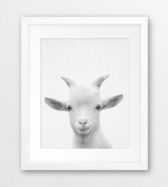 Goat Print Nursery Animal Poster Farm Animal Wall Art Etsy