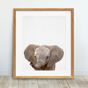 Elephant Print, Baby Elephant Photo, Safari Animal Wall Art, Safari Animal Decor, Nursery Animal Print Kids Room Decor Digital Printable Art