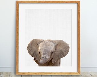 Elephant Print, Baby Elephant Photo, Safari Animal Wall Art, Safari Animal Decor, Nursery Animal Print Kids Room Decor Digital Printable Art