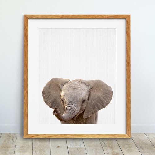 Elephant Print Baby Elephant Photo Nursery Animal Wall Art Etsy