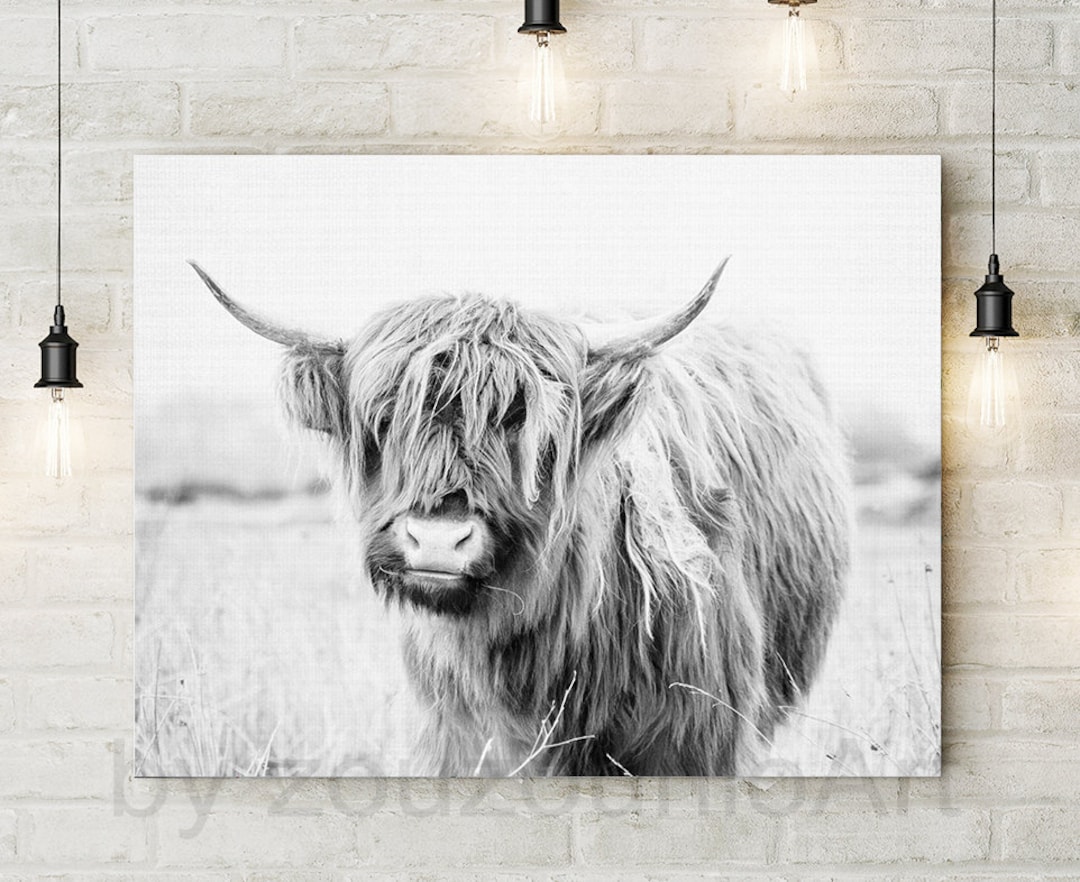 Highland outlet cow print