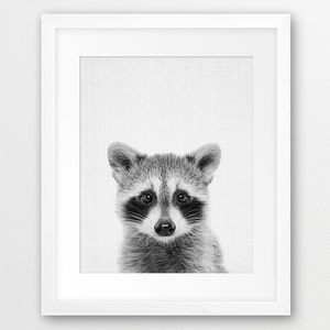 Raccoon Print, Nursery Wall Art, Woodland Animal Decor, Baby Raccoon Print, Black And White Animal Photo, Kids Room Decor, Printable Art