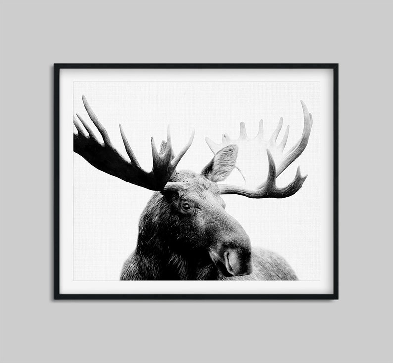 Moose Print Woodland Animal Wall Art Moose Photo Nursery | Etsy