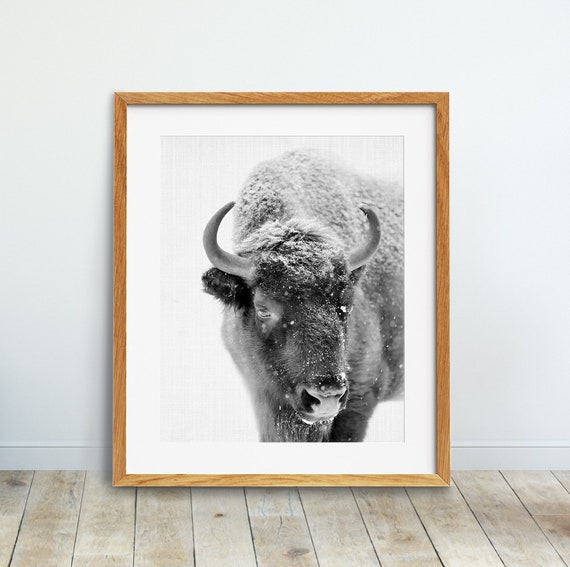 Bison Print Buffalo Wall Art Nursery Animal Snow Canada - Nursery Buffalo Wall Decor Bison Print Buffalo Wall Art Nursery Animal Snow Canada - Nursery Buffalo Wall Decor