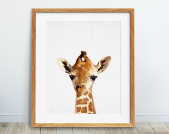 Giraffe Print, Baby Giraffe Wall Art, Safari Decor, African Animal Print, Nursery Animal Decor, Animal Poster, Kids Room Decor Printable Art