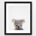 Koala Print, Nursery Wall Art, Baby Koala Bear Poster, Baby Animals ...