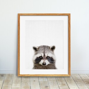 Raccoon Print, Woodlands Nursery Wall Art, Baby Raccoon Poster, Forest Animals Decor, Baby Animals Print, Kids Room Decor, Printable Art
