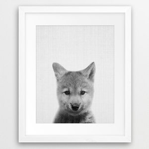 Wolf Print, Woodlands Nursery Animal Wall Art, Wolf Cub Photo, Baby Animal, Grey Black White Animal Print, Kids Room Decor, Printable Art