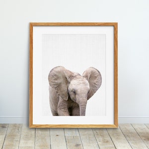 Elephant Print, Nursery Animals Wall Art, Nursery Decor, Safari African Animals Prints, Baby Elephant Poster, Kids Room Decor, Printable Art