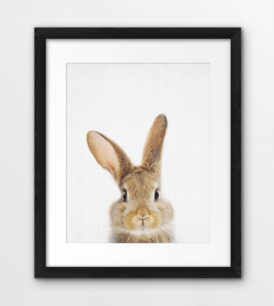 Small Rabbit Print Bunny Rabbit Print, Nursery Wall Art, Woodland Decor, Baby Animal ...