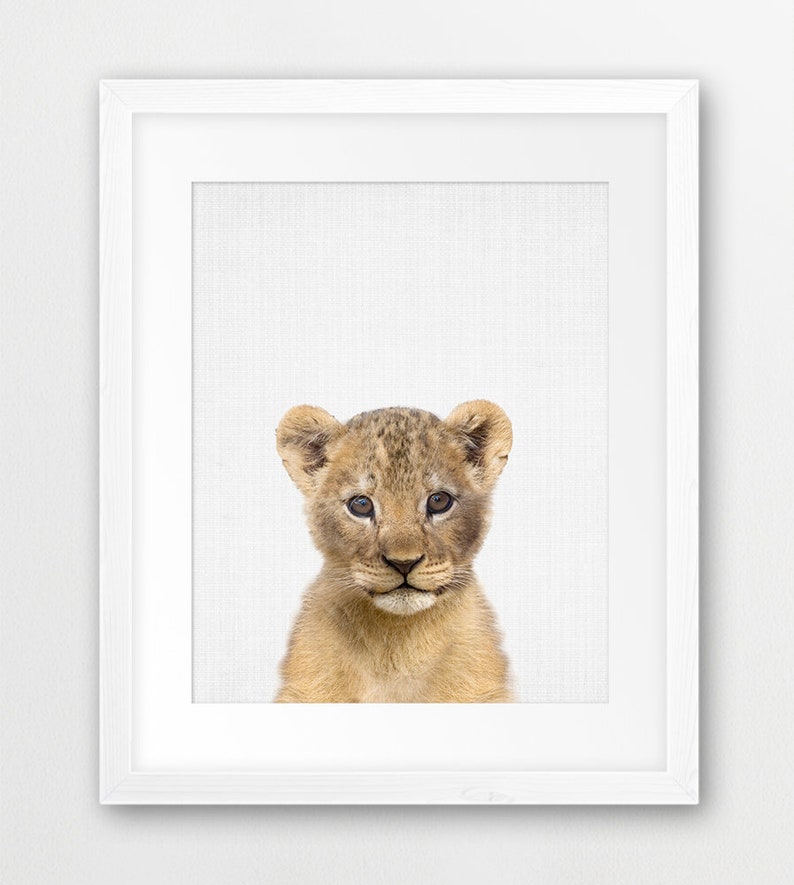 Safari Animals Safari Nursery Decor Kids Room Printable Art Lion Monkey Giraffe Zebra Rhino Nursery Animal Poster Baby Animals Set Of 8 Home Living Prints Kromasol Com Safari Animals Safari Nursery Decor Kids Room Printable Art Lion Monkey Giraffe Zebra Rhino Nursery Animal Poster Baby Animals Set Of 8 Home Living Prints Kromasol Com
