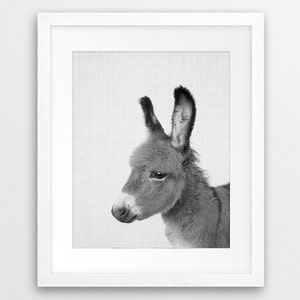 Donkey Print, Nursery Wall Art, Farm Animal Print, Cute Baby Donkey, Black White Animal Photo, Nursery Decor, Kids Room Decor, Printable Art
