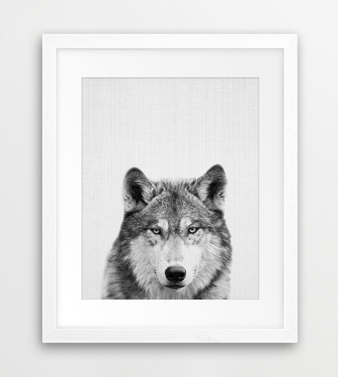 Wolf Print Grey Wolf Print Black and White Photography - Etsy