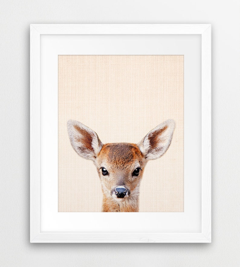 Baby Deer Print Woodlands Nursery Decor Fawn Wall Art Etsy