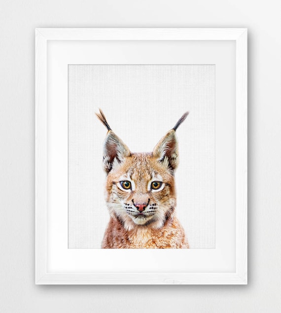 Bobcat Lynx Print Woodlands Animal Wall Art Nursery Decor Cute Baby Animal Bobcat Photo Nursery Animal Kids Room Decor Printable Art