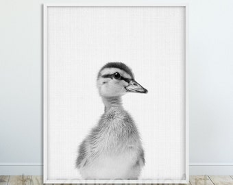 Duckling Print, Nursery Animal Decor, Baby Animal Wall Art, Baby Duck Black And White Art Poster, Kids Room Decor, Digital Printable Art