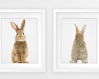 Rabbit Print Set, Nursery Animal Wall Art, Woodland Animals, Bunny Butt Tail Print, Baby Animal Print, Kids Room Decor, Digital Printable
