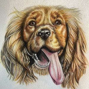 Custom watercolour pet portrait