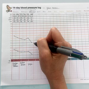 Blood Pressure log image 4