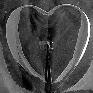 Valentine 2 Piece Pour Heart-Plain Top with Dish Bottom Dim 8 1/2 x 7 1/2 x 1/4 Weight: 11.9 Item No. V301 A&D