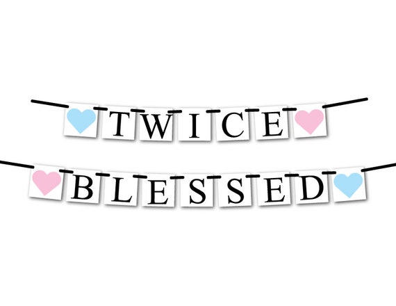 Twice Blessed Banner Pink And Blue Baby Shower Decorations Its