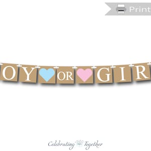 Printable rustic boy or girl banner, instant download baby shower banner, gender reveal party ideas, chic pink or blue party decorations