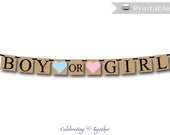 Printable boy or girl banner, instant download rustic baby shower banner, gender reveal party ideas, pink or blue party decorations Il_170x135