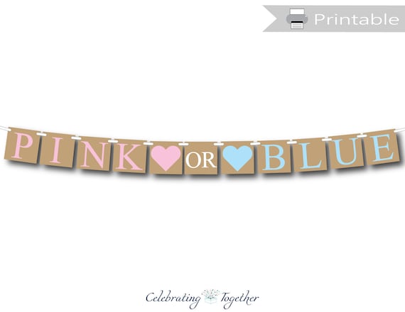 Pink or Blue Banner Gender Reveal Bunting Girl Boy Baby Shower Mum to be party