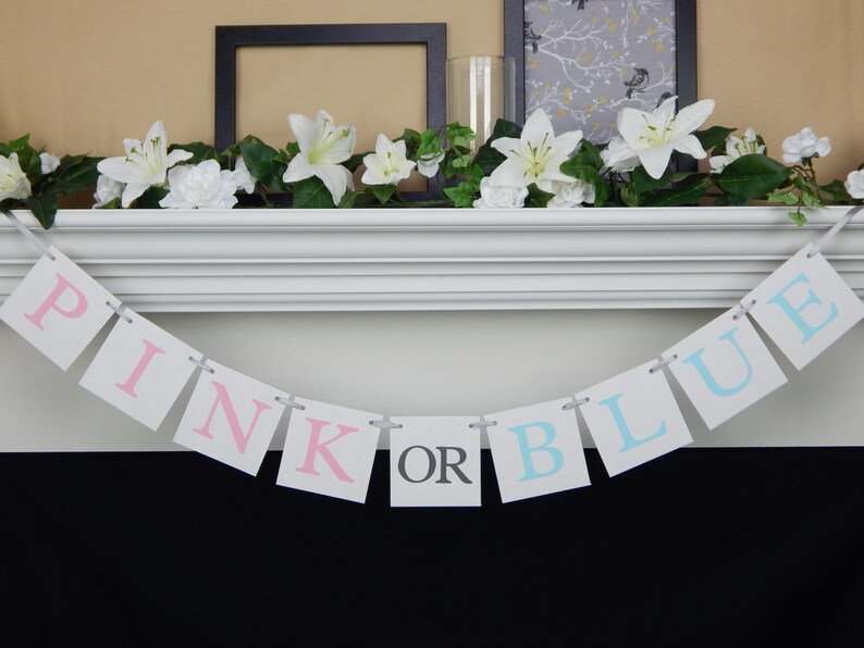 He Or She What Will Baby Be Sign Gender Reveal Party Ideas Boy Or Girl Bunting Pink Or Blue Banner Suprise Baby Shower Decorations Paper Party Supplies Party Decor Tripod Ee