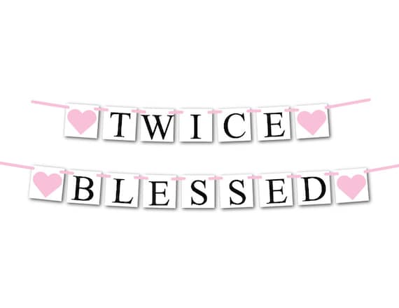 twin girl baby shower decorations